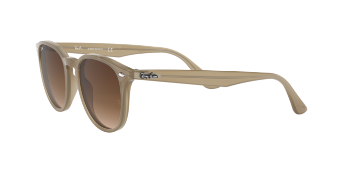 Ray-Ban Sunglasses RB4259F 616613