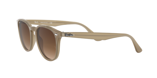 Ray-Ban Sunglasses RB4259F 616613