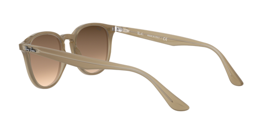 Ray-Ban Sunglasses RB4259F 616613