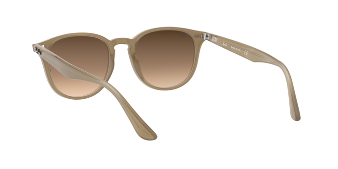 Ray-Ban Sunglasses RB4259F 616613