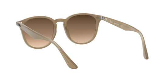 Ray-Ban Sunglasses RB4259F 616613