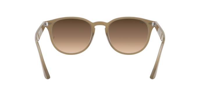 Ray-Ban Sunglasses RB4259F 616613