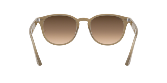 Ray-Ban Sunglasses RB4259F 616613