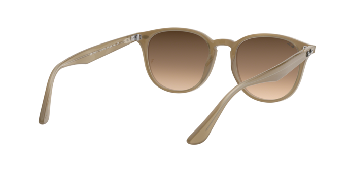 Ray-Ban Sunglasses RB4259F 616613