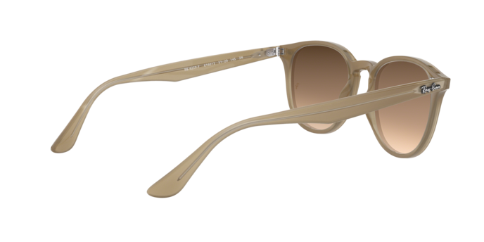 Ray-Ban Sunglasses RB4259F 616613