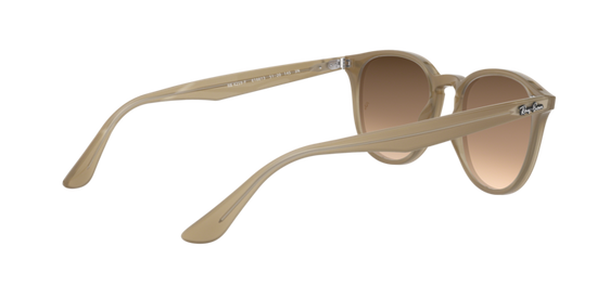 Ray-Ban Sunglasses RB4259F 616613