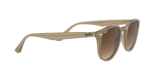 Ray-Ban Sunglasses RB4259F 616613