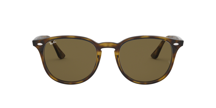 Ray-Ban Sunglasses RB4259F 710/73