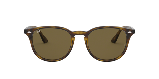 Ray-Ban Sunglasses RB4259F 710/73