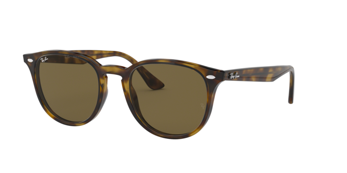 Ray-Ban Sunglasses RB4259F 710/73