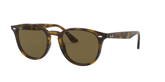 Ray-Ban Sunglasses RB4259F 710/73