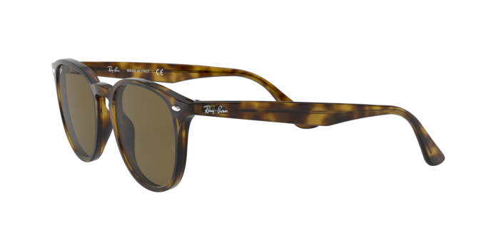 Ray-Ban Sunglasses RB4259F 710/73