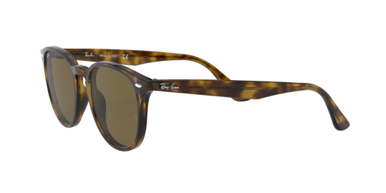 Ray-Ban Sunglasses RB4259F 710/73