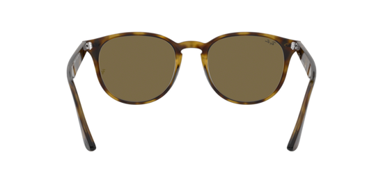 Ray-Ban Sunglasses RB4259F 710/73