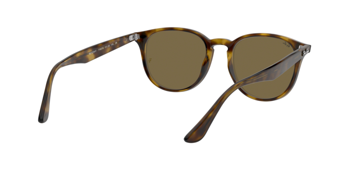 Ray-Ban Sunglasses RB4259F 710/73