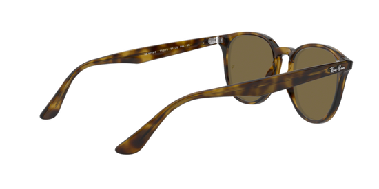 Ray-Ban Sunglasses RB4259F 710/73