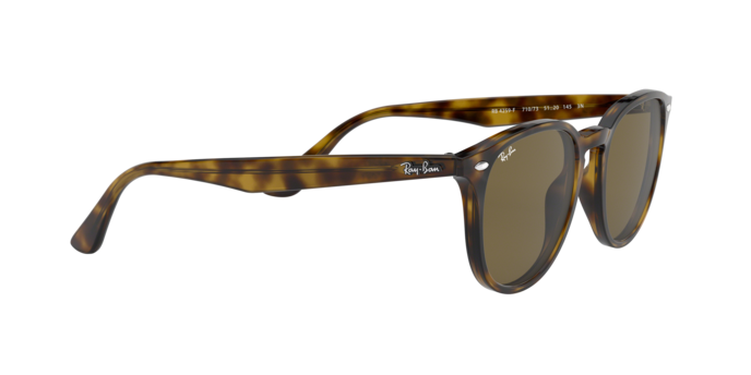 Ray-Ban Sunglasses RB4259F 710/73