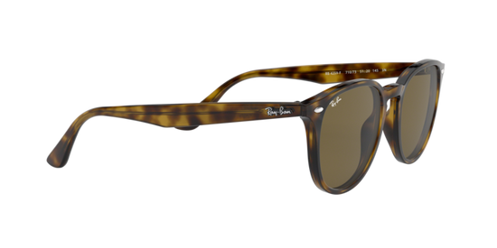 Ray-Ban Sunglasses RB4259F 710/73