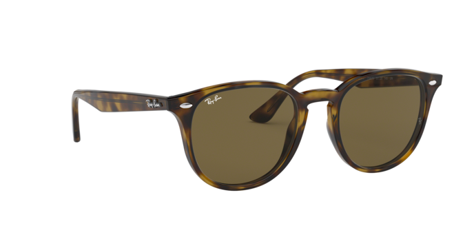 Ray-Ban Sunglasses RB4259F 710/73