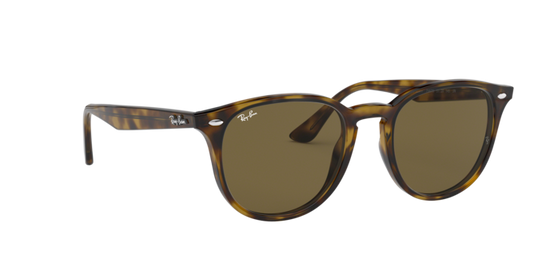 Ray-Ban Sunglasses RB4259F 710/73