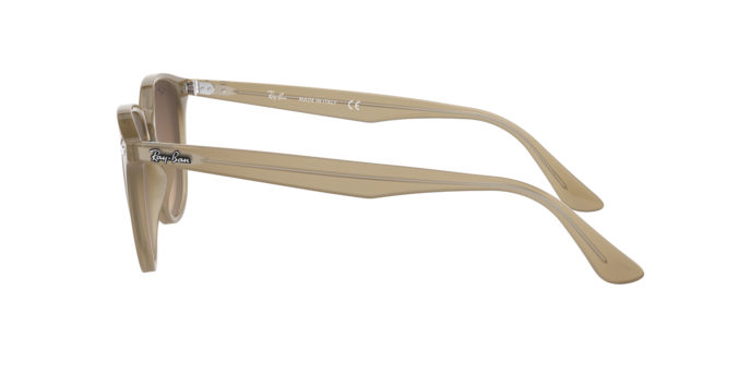 Ray-Ban Sunglasses RB4259 616613