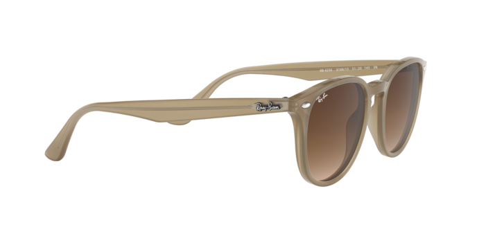 Ray-Ban Sunglasses RB4259 616613