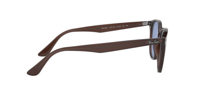 Ray-Ban Sunglasses RB4259 62311N