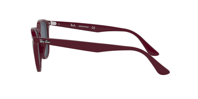 Ray-Ban Sunglasses RB4259 638287