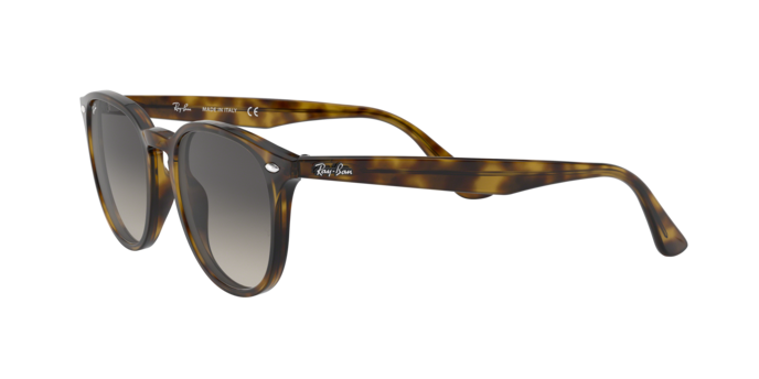 Ray-Ban Sunglasses RB4259 710/11