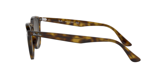 Ray-Ban Sunglasses RB4259 710/11