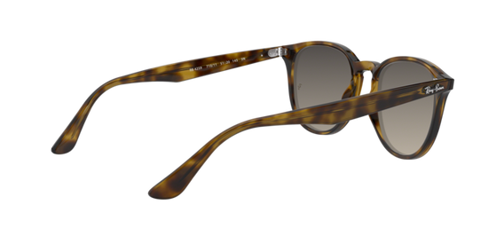 Ray-Ban Sunglasses RB4259 710/11