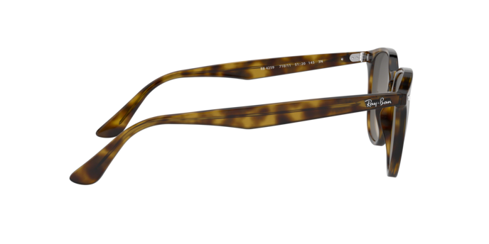 Ray-Ban Sunglasses RB4259 710/11