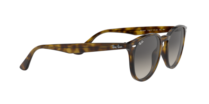 Ray-Ban Sunglasses RB4259 710/11