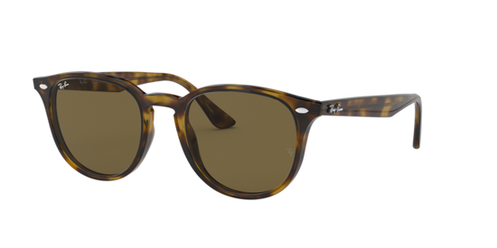 Ray-Ban Sunglasses RB4259 710/73
