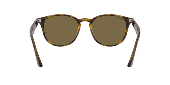 Ray-Ban Sunglasses RB4259 710/73