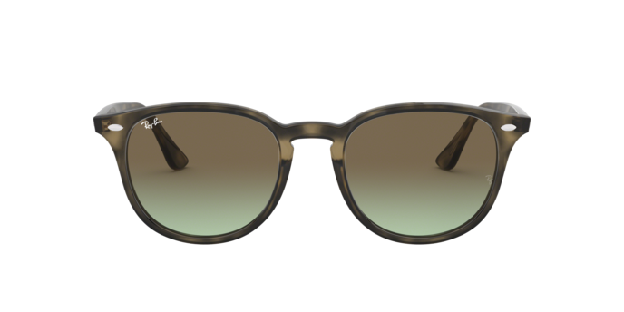 Ray-Ban Sunglasses RB4259 731/E8