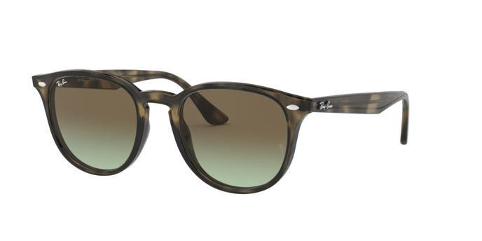 Ray-Ban Sunglasses RB4259 731/E8