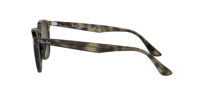 Ray-Ban Sunglasses RB4259 731/E8