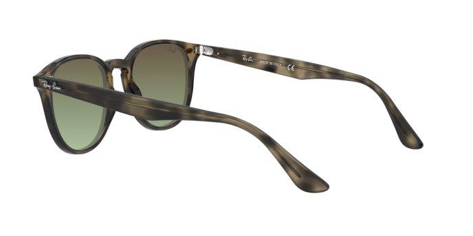 Ray-Ban Sunglasses RB4259 731/E8