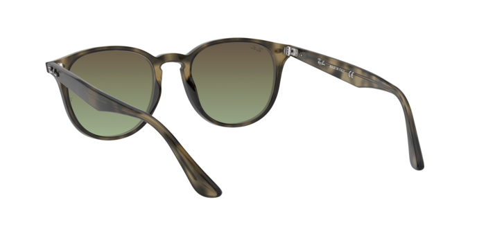 Ray-Ban Sunglasses RB4259 731/E8
