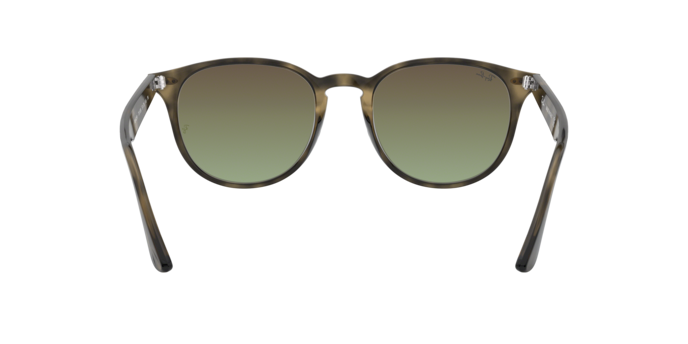 Ray-Ban Sunglasses RB4259 731/E8