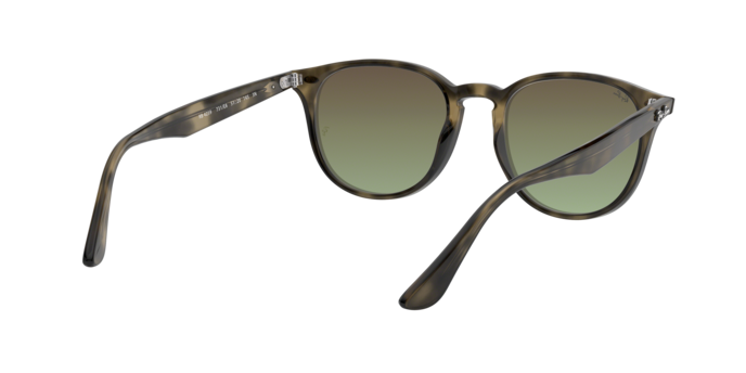 Ray-Ban Sunglasses RB4259 731/E8