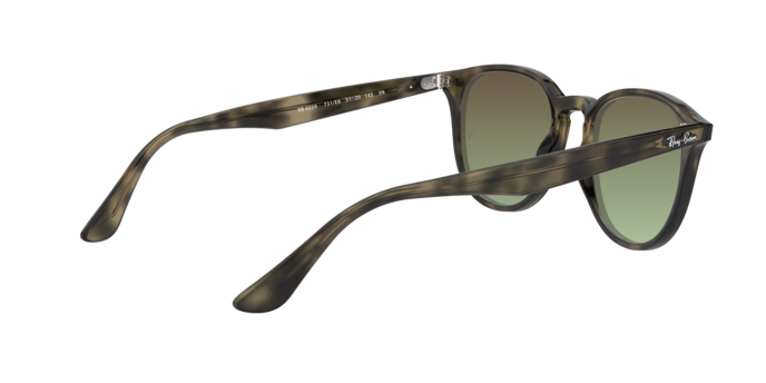 Ray-Ban Sunglasses RB4259 731/E8