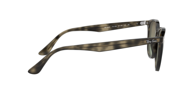 Ray-Ban Sunglasses RB4259 731/E8