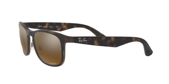 Ray-Ban Sunglasses RB4263 894/A3