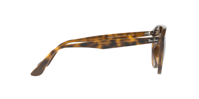 Ray-Ban Sunglasses RB4279 710/73