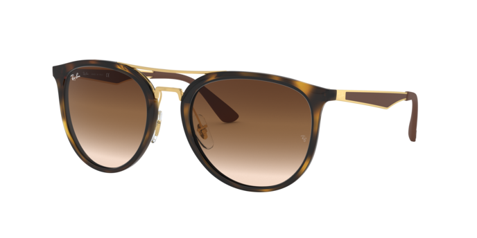 Ray-Ban Sunglasses RB4285 710/13
