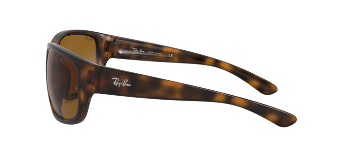 Ray-Ban Sunglasses RB4300 710/33