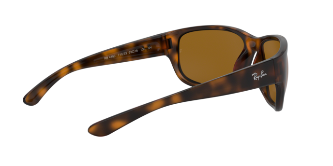 Ray-Ban Sunglasses RB4300 710/33