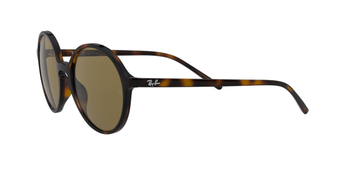 Ray-Ban Sunglasses RB4304 710/73